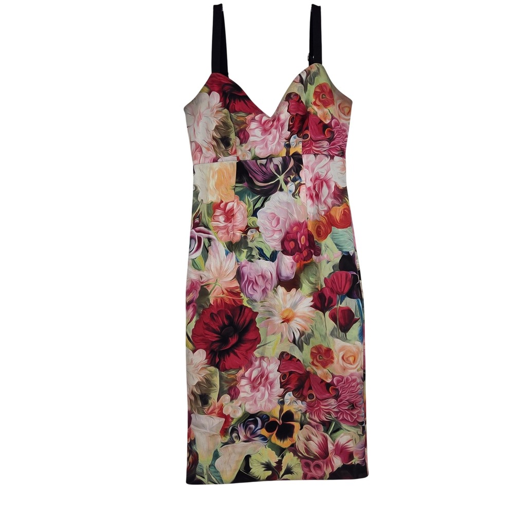 Ted Baker Floral Oil Painting Bodycon Dress 3 Multicolor Art-Inspired Eclectic
